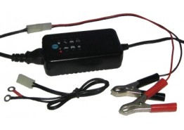 ODM Car motorcycle battery maintenance charger