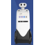 Information Query General Service Reception Robot